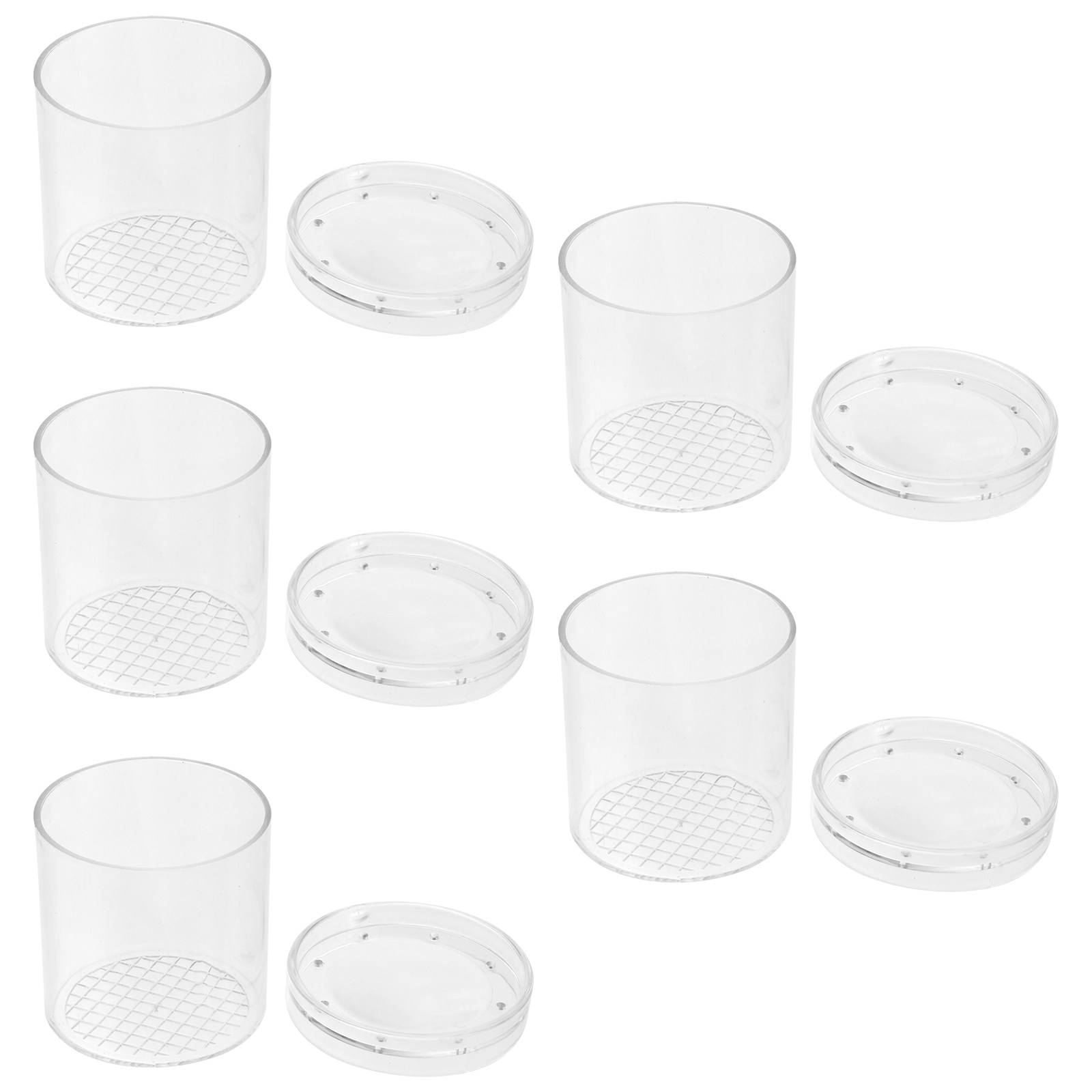 5Pcs Kids Insect Observation B - Science Toys 리뷰 및 가격