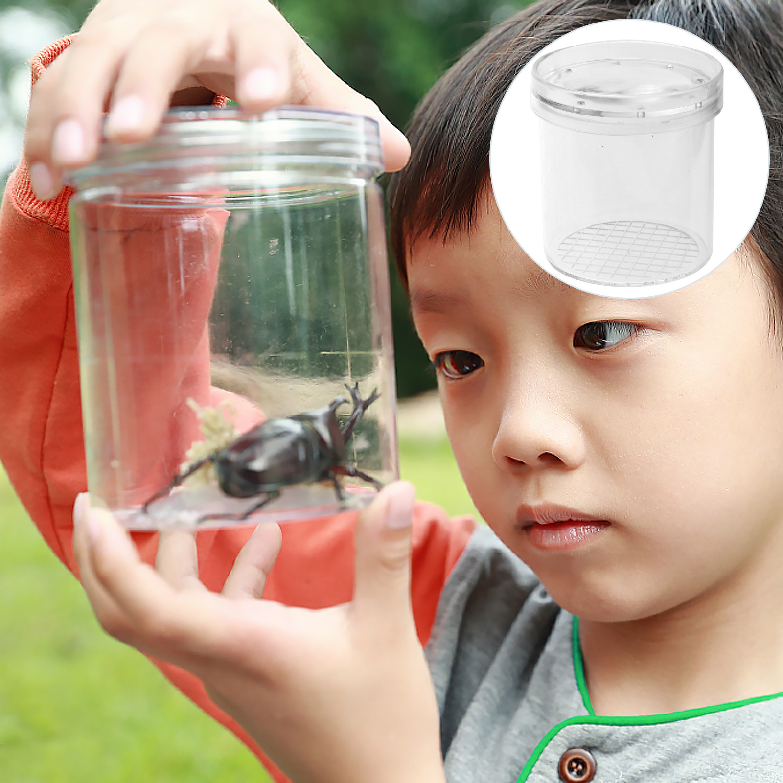 5Pcs Kids Insect Observation B - Science Toys 리뷰 및 가격