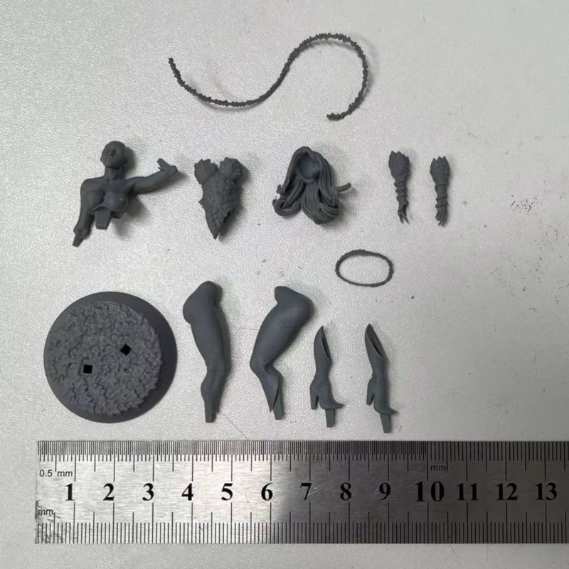 1/24 Scale Forest Queen Scienc - Science Hobby Kit 리뷰 및 가격