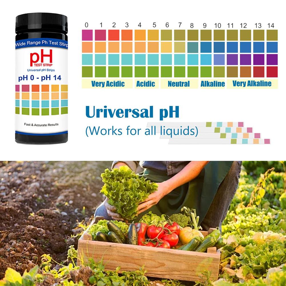 100 Pieces Multipurpose Chlori - Ph Strip Test 리뷰 및 가격