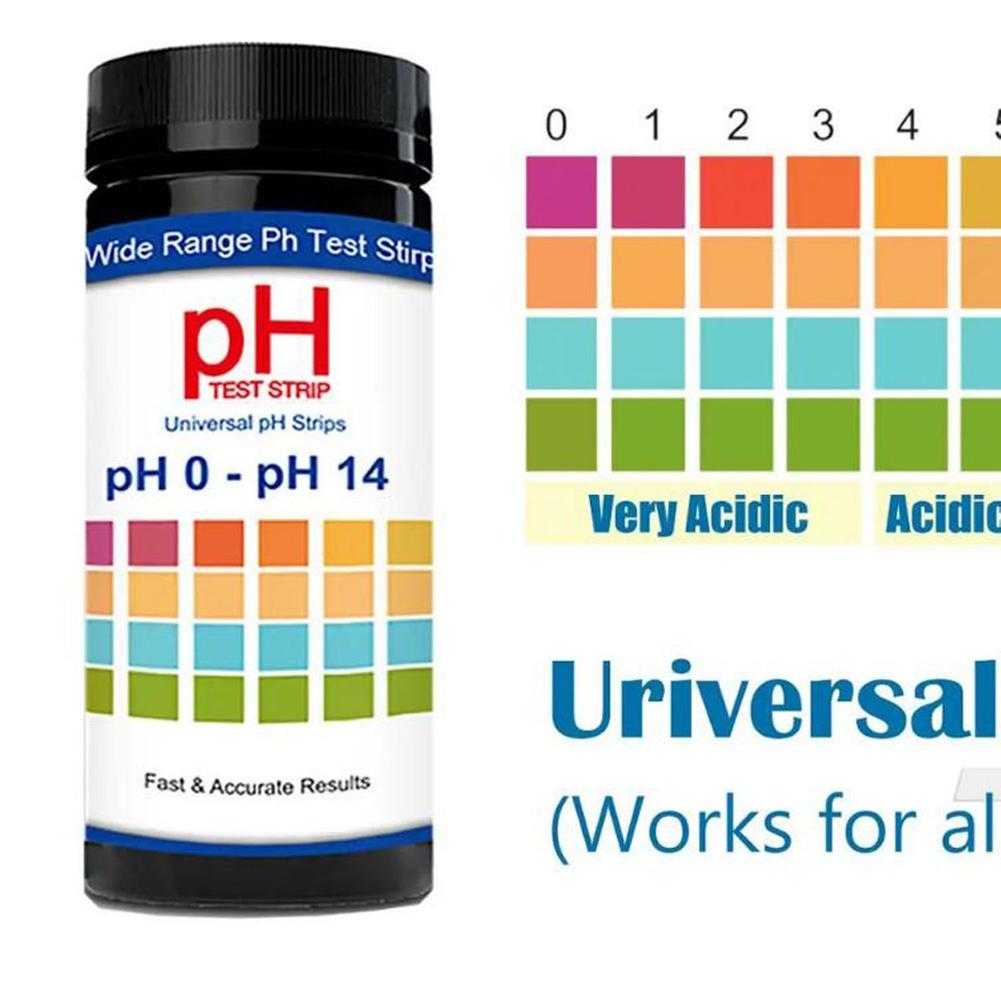 100 Pieces Multipurpose Chlori - Ph Strip Test 리뷰 및 가격