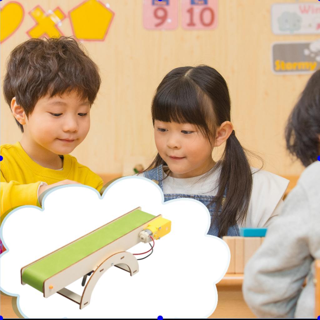 Stem Toys DIY Stem Project Dev - Science Hobby Kit 리뷰 및 가격