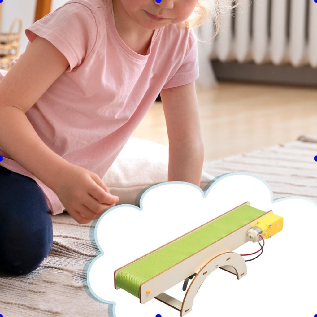 Stem Toys DIY Stem Project Dev - Science Hobby Kit 리뷰 및 가격