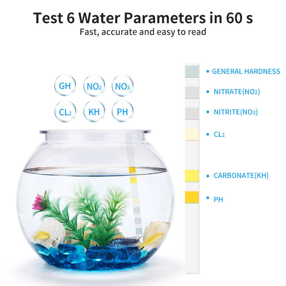 6-In-1 Water Quality Test Stri - Water Testing Kit 리뷰 및 가격