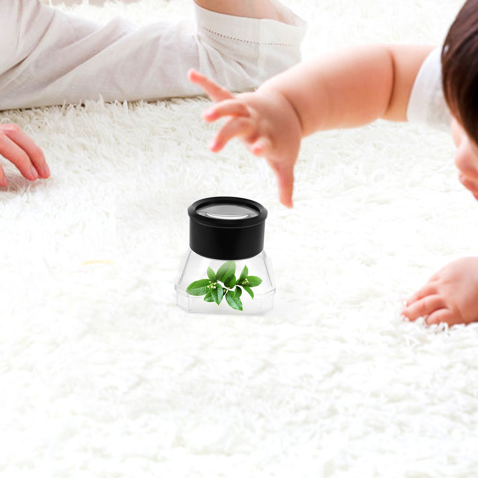 2Pcs Insect Magnifier Box Plas - Science Toys 리뷰 및 가격