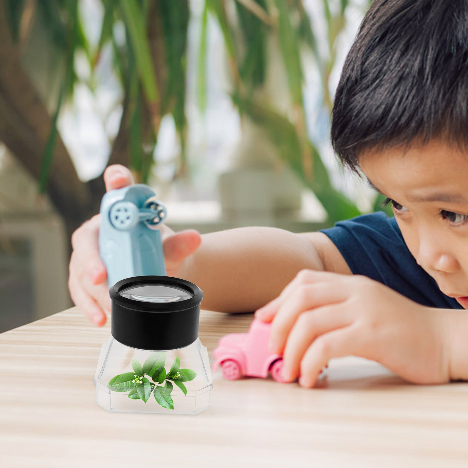 2Pcs Insect Magnifier Box Plas - Science Toys 리뷰 및 가격