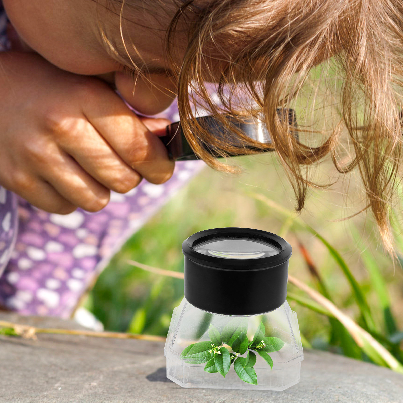 2Pcs Insect Magnifier Box Plas - Science Toys 리뷰 및 가격