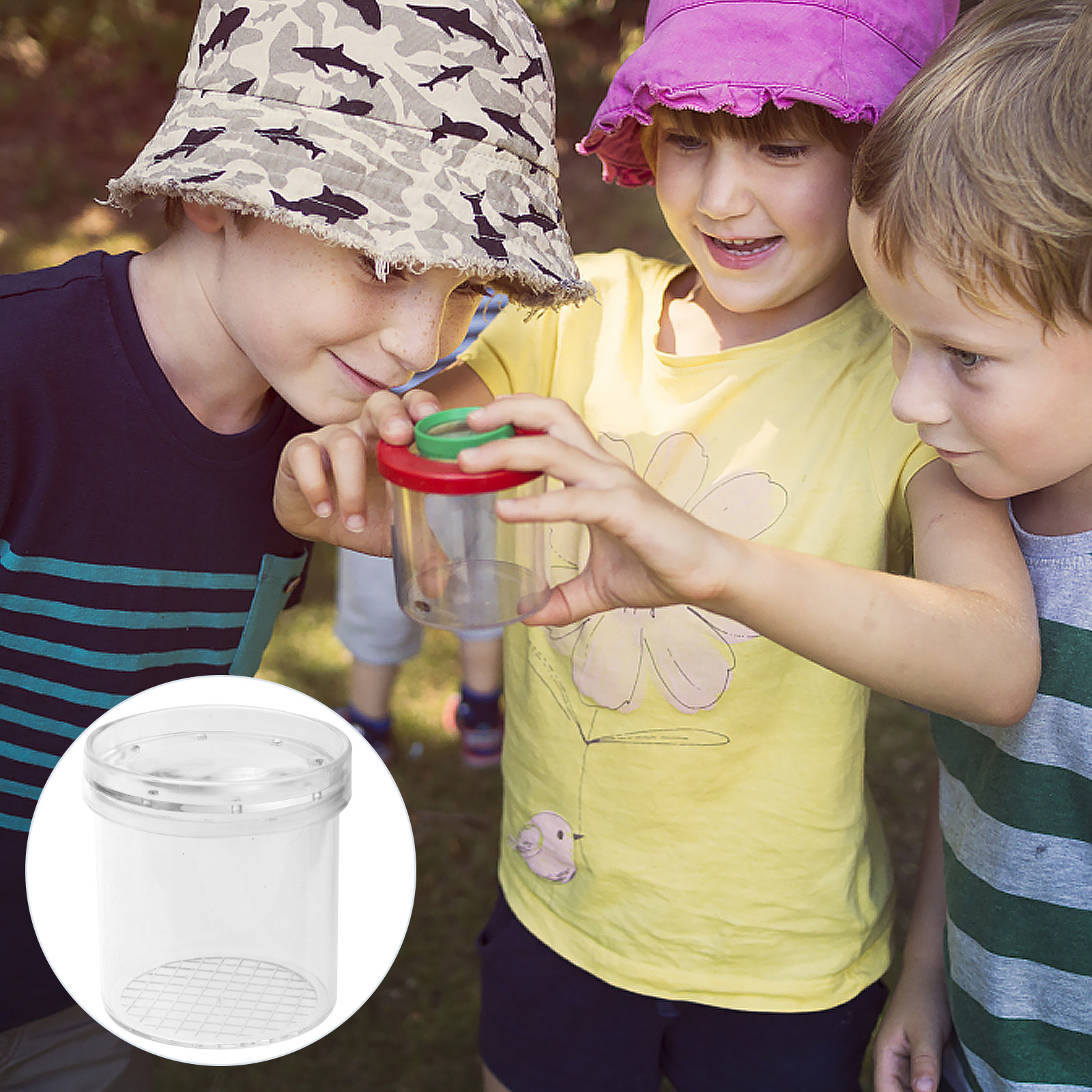 5Pcs Insect Viewer Box Kids Ex - Science Toys 리뷰 및 가격