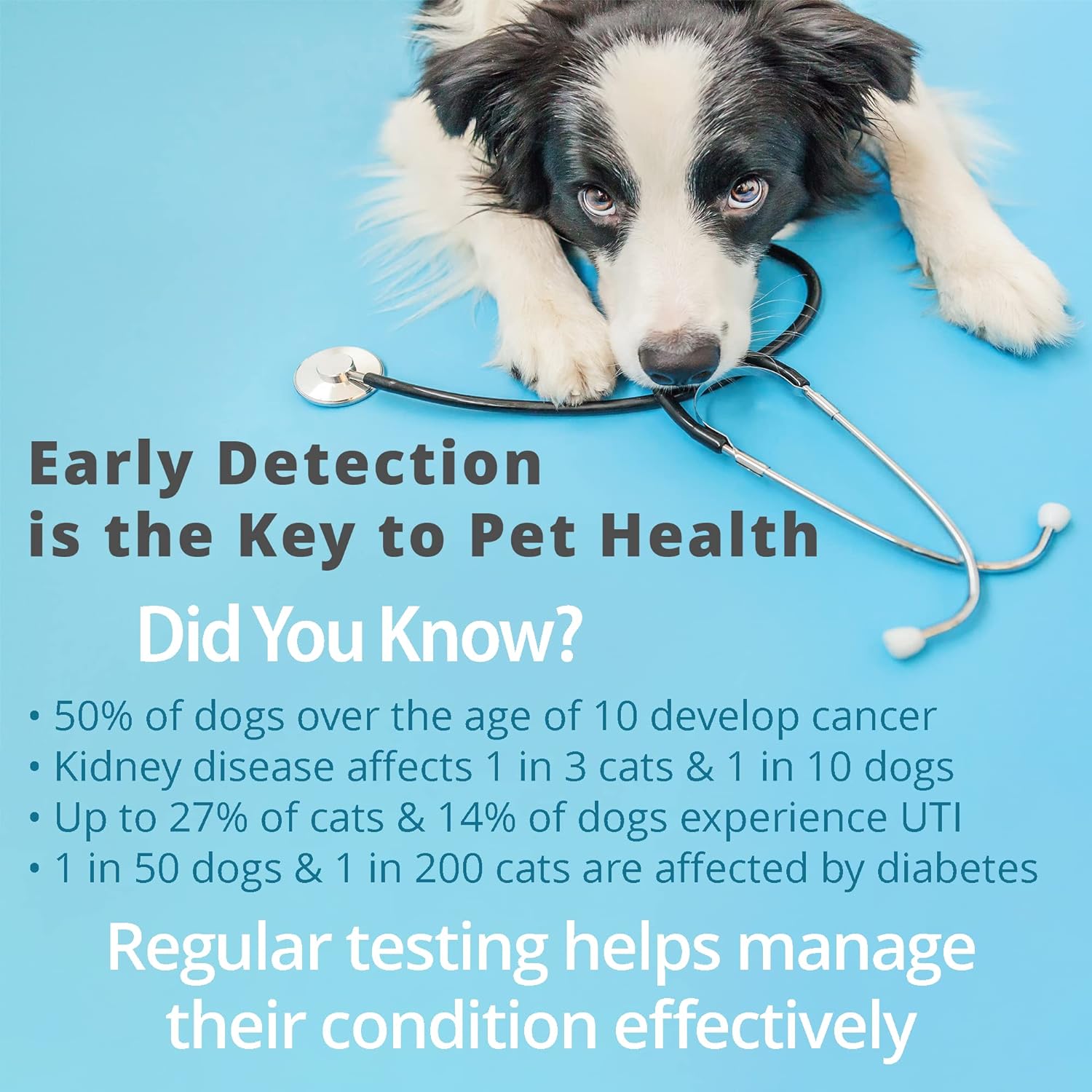 Pet Urine Testing Strips, 100  - Ph Strip Test 리뷰 및 가격