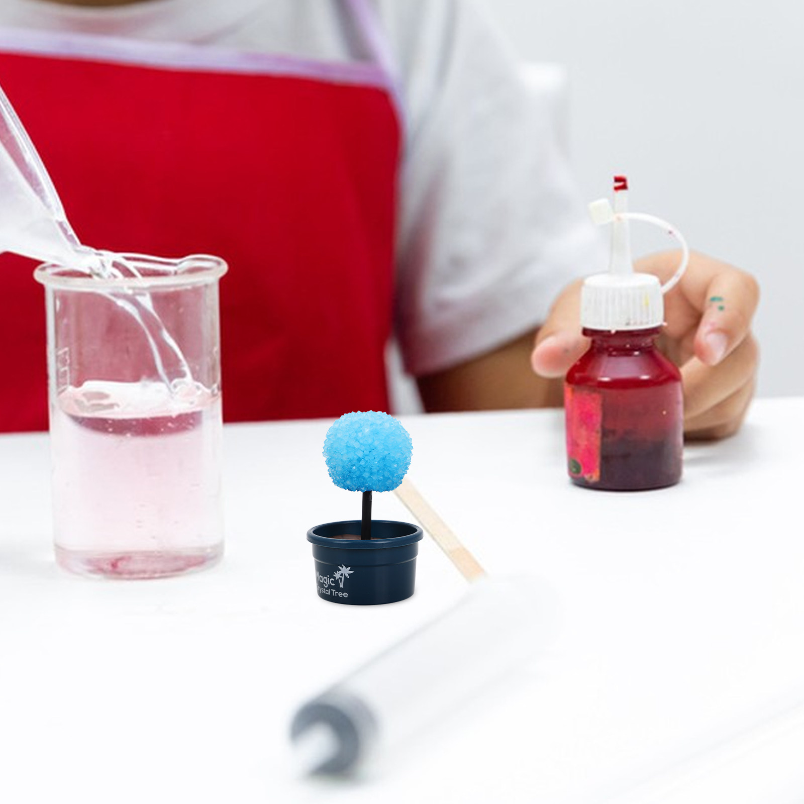 1Set Crystal DIY Science Kit F - Science Project Kit 리뷰 및 가격