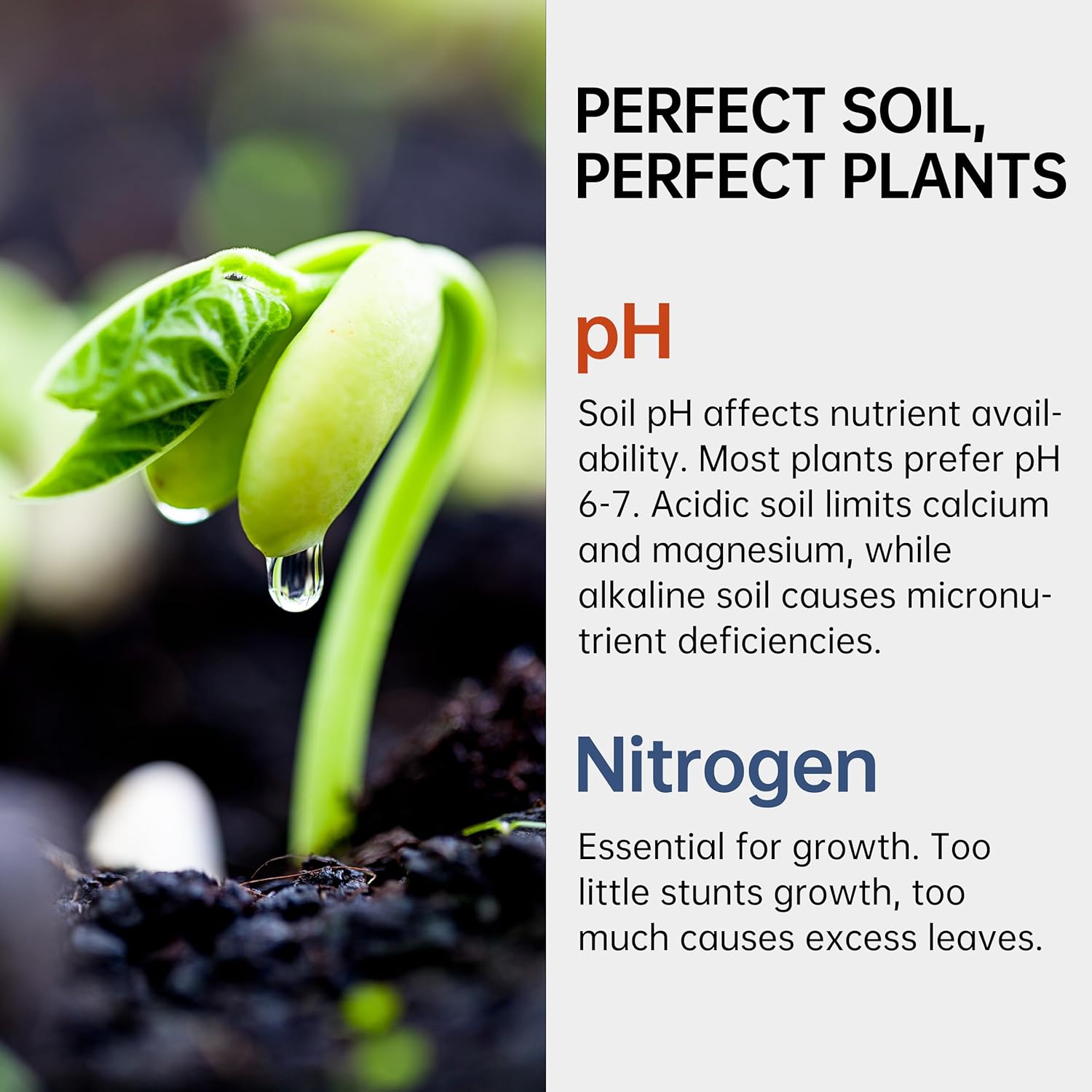 Soil Test Kit pH & Nitrogen Te - Ph Strip Test 리뷰 및 가격