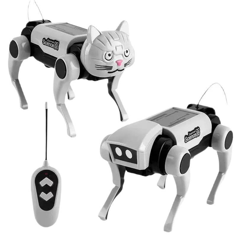 Remote Control Diy Assembly Wa - Science Hobby Kit 리뷰 및 가격