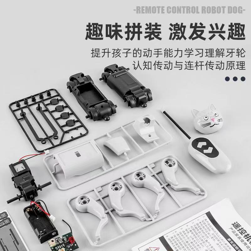 Remote Control Diy Assembly Wa - Science Hobby Kit 리뷰 및 가격