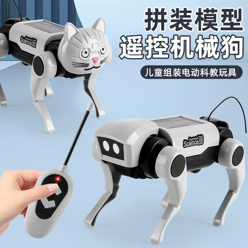 Remote Control Diy Assembly Wa - Science Hobby Kit 리뷰 및 가격