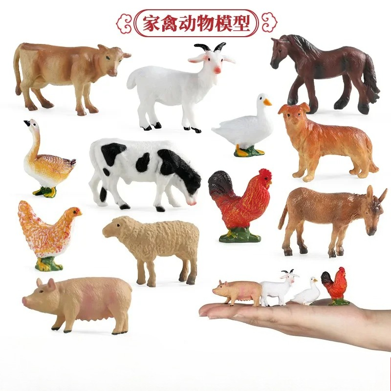 Education Teaching Tool Poultr - Science Toys 리뷰 및 가격